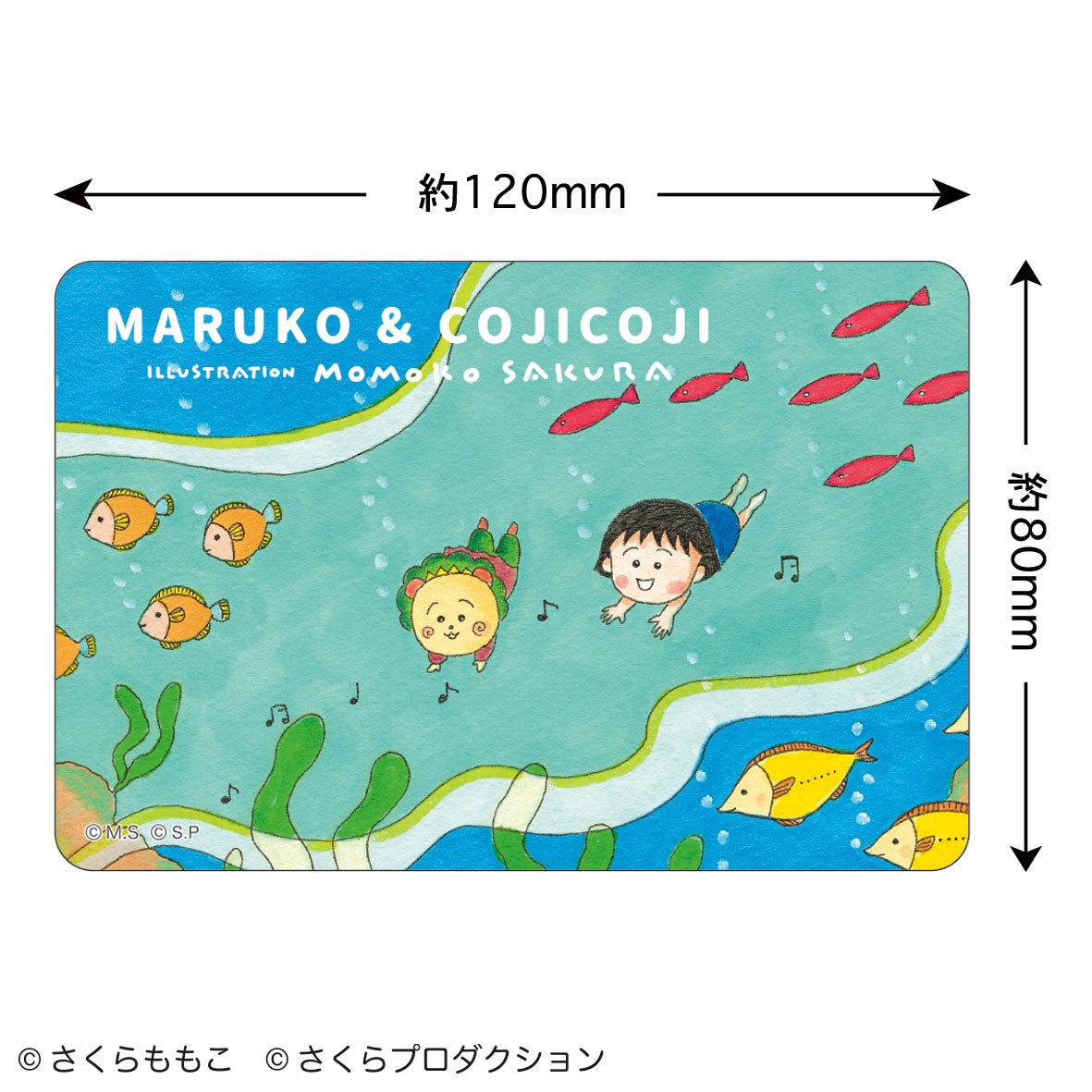 まる子とコジコジ　ステッカー（海）　原画　カード　ハガキ　ちびまる子ちゃん　ステーショナリー